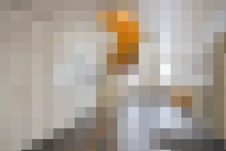 Peeleik 23 A Helmond thumbnail 30
