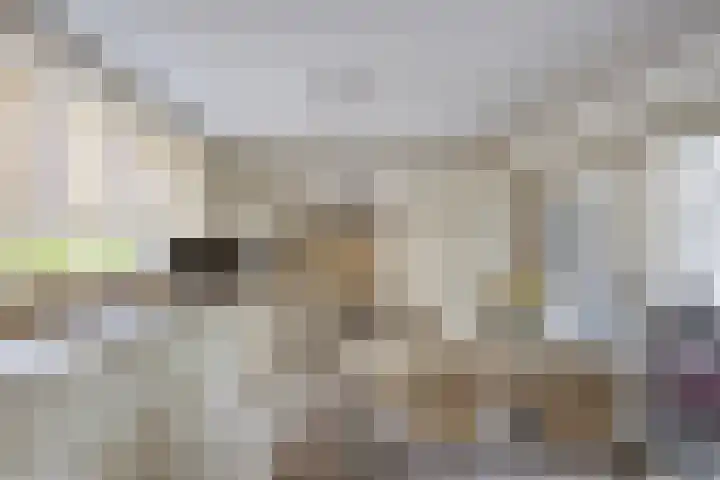 Peeleik 23 A Helmond thumbnail 4