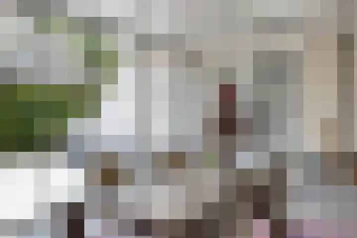 Peeleik 23 A Helmond thumbnail 52
