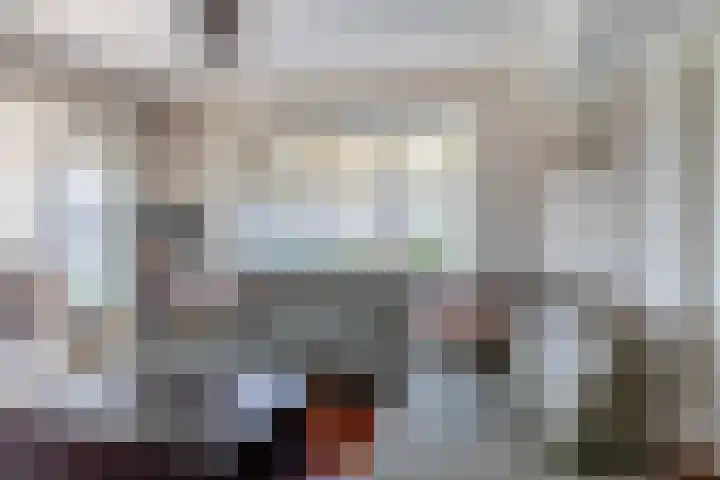 Peeleik 8 Helmond thumbnail 16