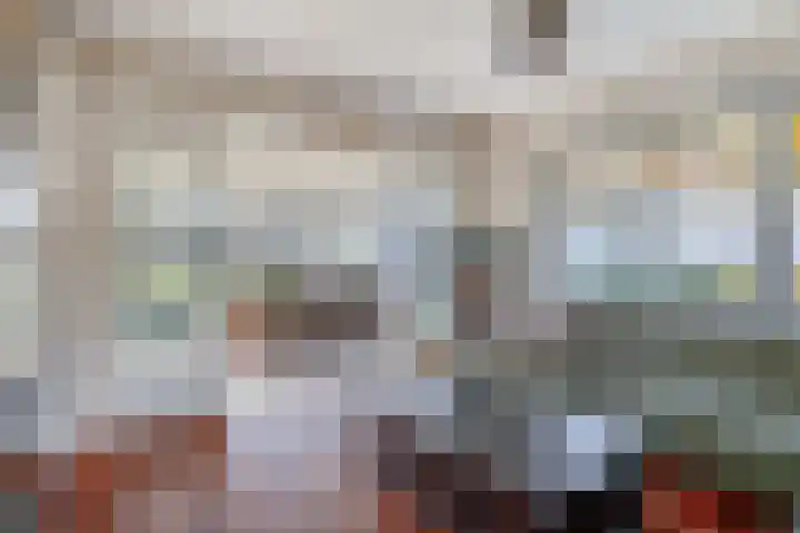 Peeleik 8 Helmond thumbnail 17