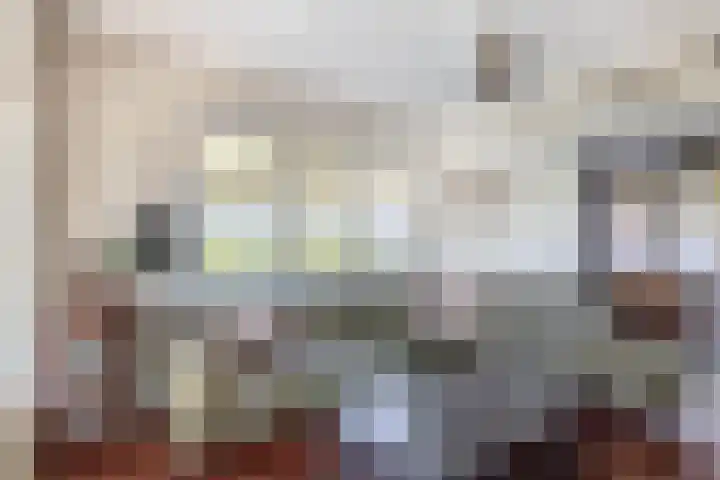 Peeleik 8 Helmond thumbnail 18