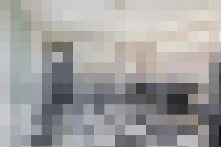Peeleik 8 Helmond thumbnail 36