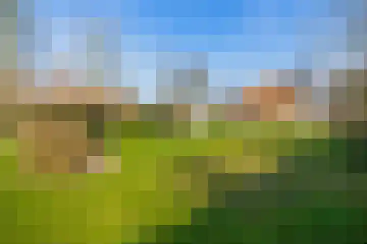 Peeleik 8 Helmond thumbnail 4