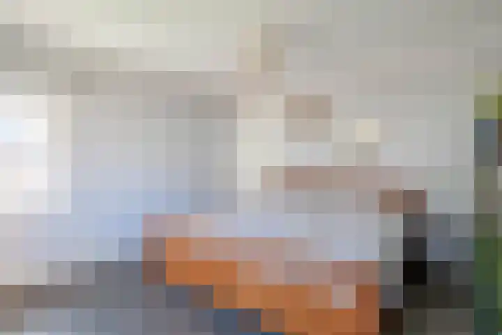Peeleik 8 Helmond thumbnail 45
