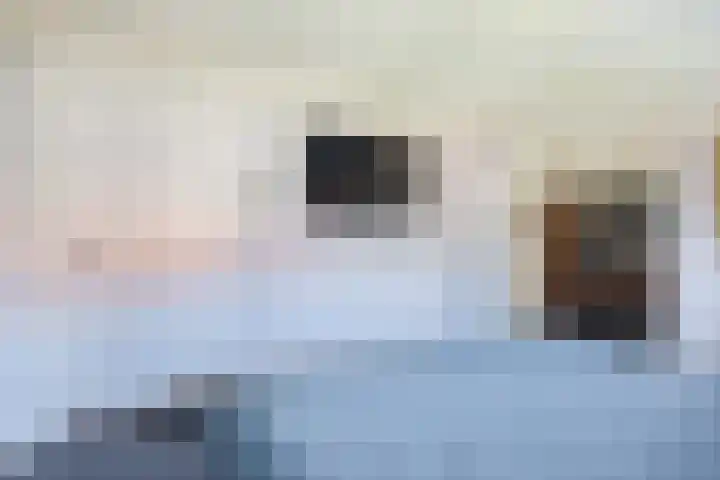 Peeleik 8 Helmond thumbnail 48
