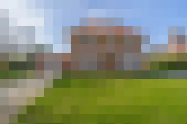 Peeleik 8 Helmond thumbnail 5