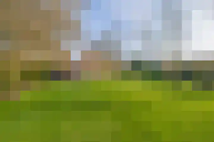 Peeleik 8 Helmond thumbnail 70
