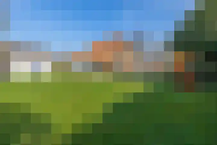 Peeleik 8 Helmond thumbnail 76