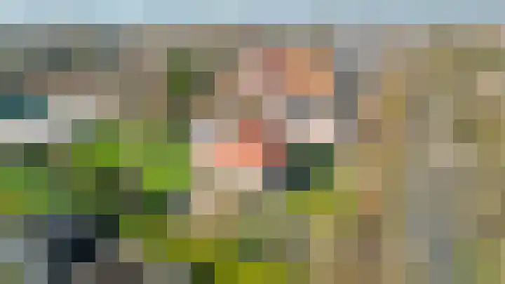 Peeleik 8 Helmond thumbnail 83