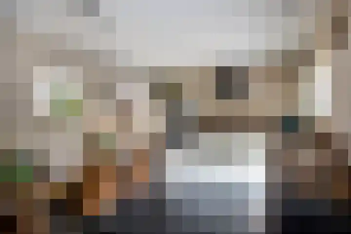 Peelhoeven 19 Rosmalen thumbnail 10