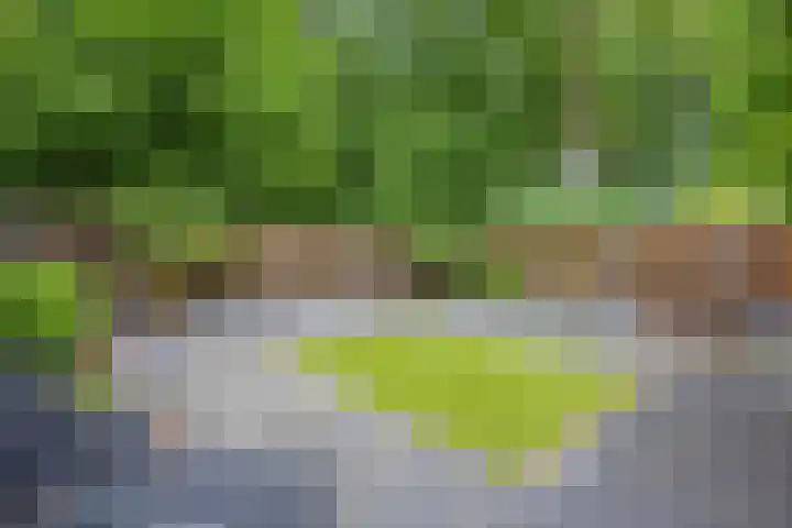 Peelhoeven 19 Rosmalen thumbnail 18