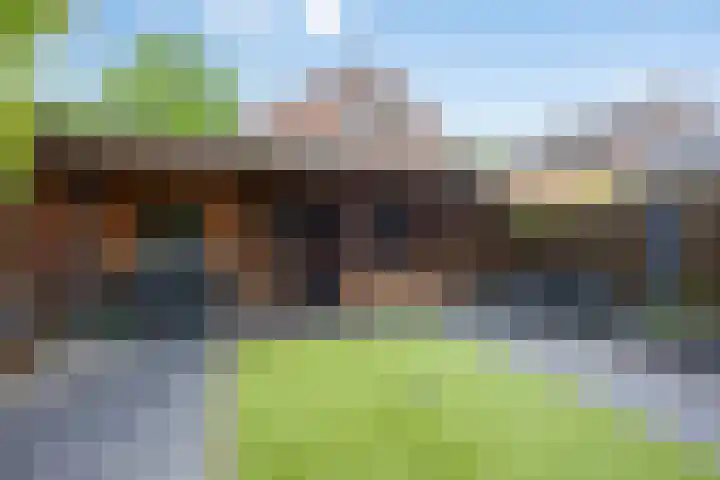 Peelhoeven 19 Rosmalen thumbnail 20