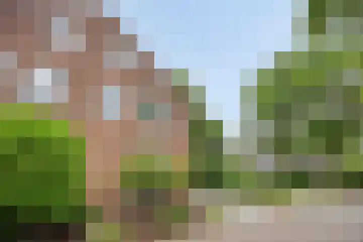 Peelhoeven 19 Rosmalen thumbnail 31