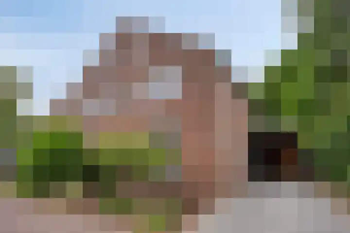Peelhoeven 19 Rosmalen thumbnail 32