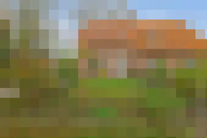 Peelkant 43 Sint Anthonis thumbnail 21