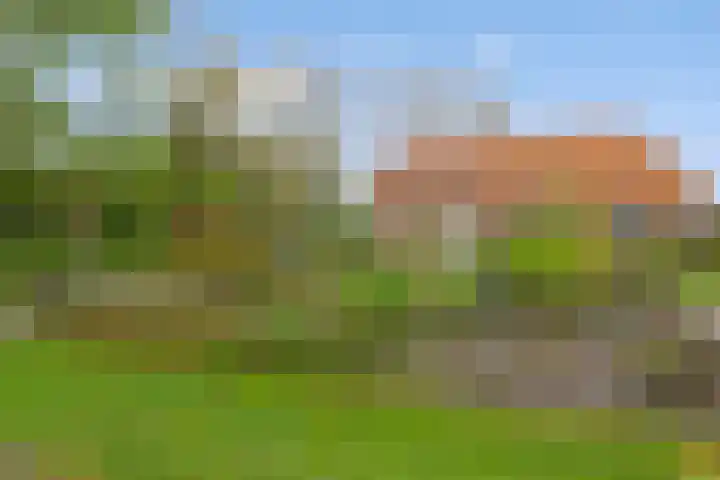 Peelkant 43 Sint Anthonis thumbnail 22