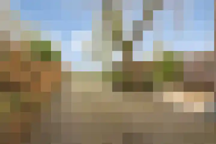 Peelkant 43 Sint Anthonis thumbnail 26
