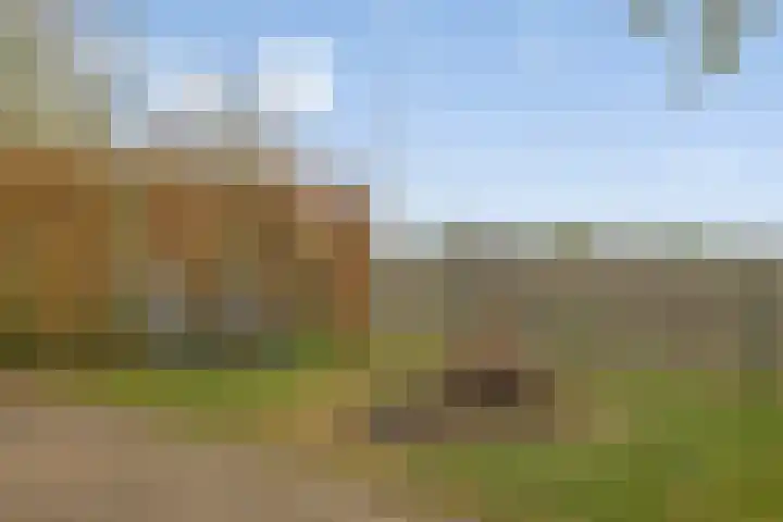Peelkant 43 Sint Anthonis thumbnail 27