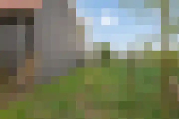 Peelkant 43 Sint Anthonis thumbnail 32