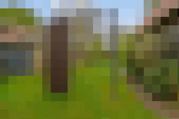 Peelkant 43 Sint Anthonis thumbnail 33