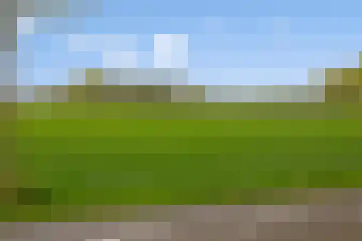 Peelkant 43 Sint Anthonis thumbnail 37