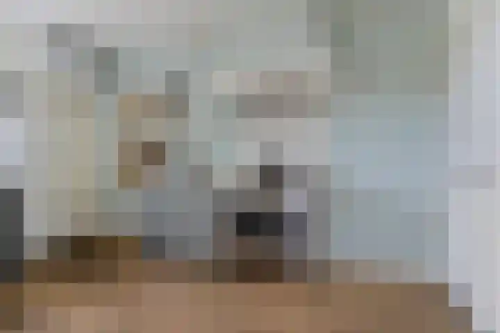 Peelkant 43 Sint Anthonis thumbnail 8
