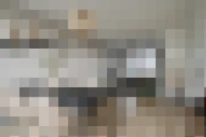 Peelklamp 23 Deurne thumbnail 16