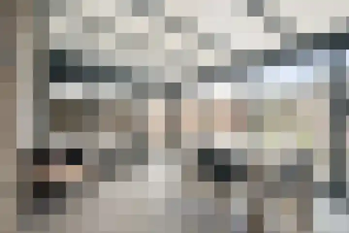 Peelklamp 23 Deurne thumbnail 22