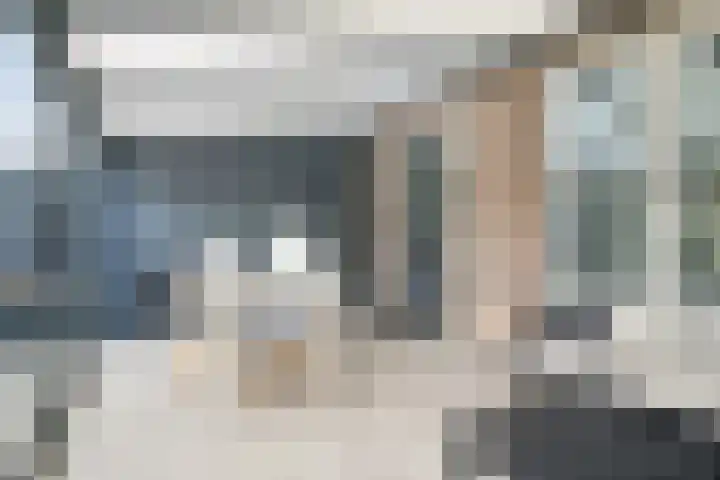 Peelklamp 23 Deurne thumbnail 23