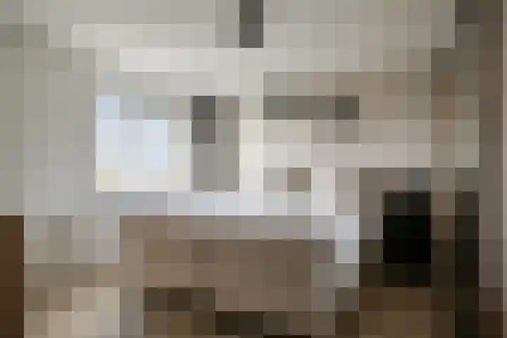 Peelklamp 23 Deurne thumbnail 25