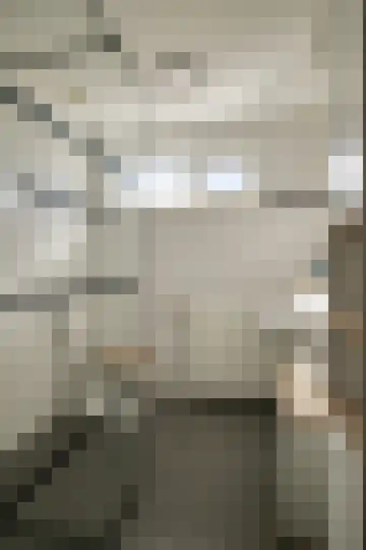 Peelklamp 23 Deurne thumbnail 27