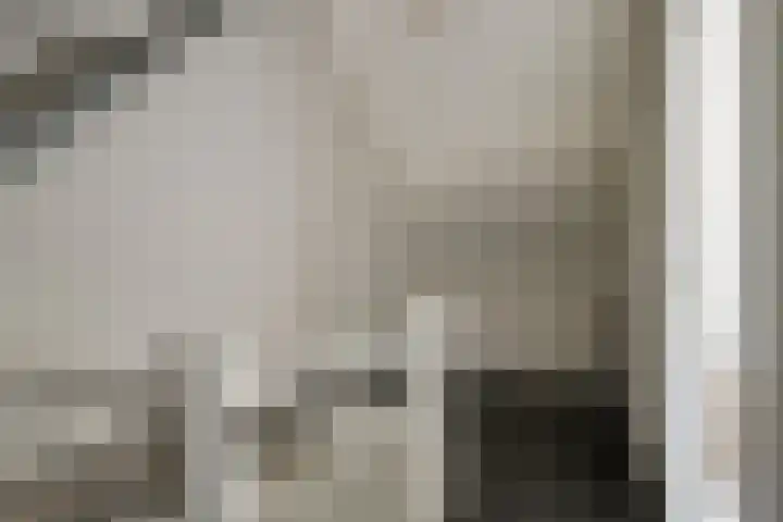 Peelklamp 23 Deurne thumbnail 33