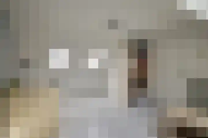 Peelklamp 23 Deurne thumbnail 36