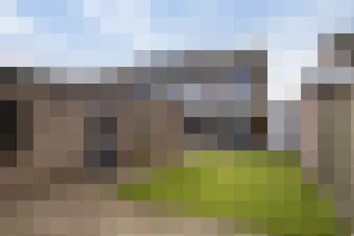 Peelklamp 23 Deurne thumbnail 39