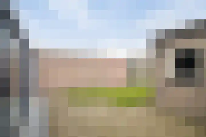 Peelklamp 23 Deurne thumbnail 40