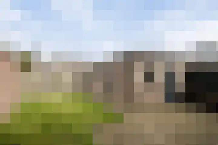 Peelklamp 23 Deurne thumbnail 41