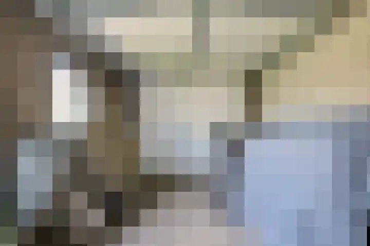 Peelklamp 23 Deurne thumbnail 43
