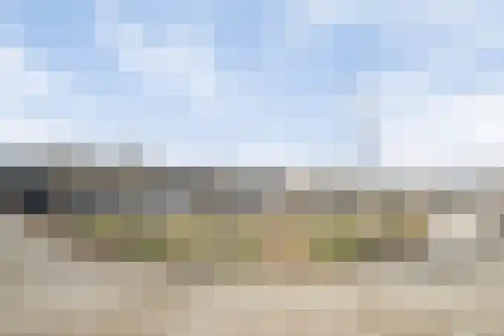 Peelklamp 23 Deurne thumbnail 47
