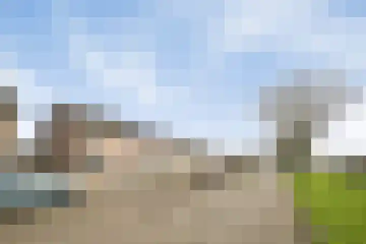 Peelklamp 23 Deurne thumbnail 6