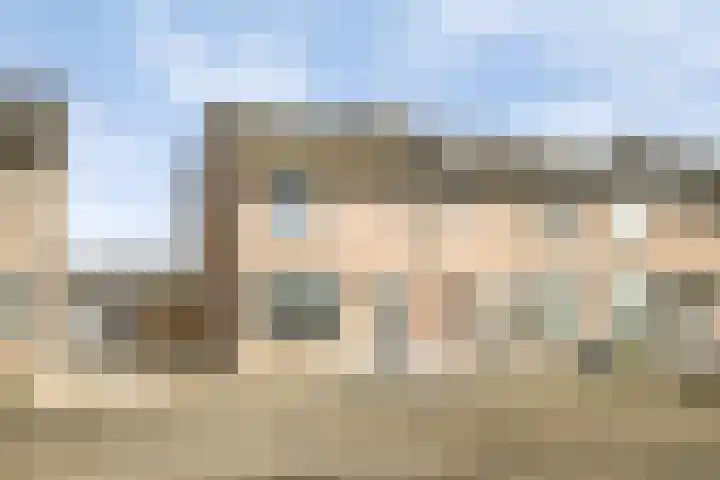 Peelklamp 23 Deurne thumbnail 7