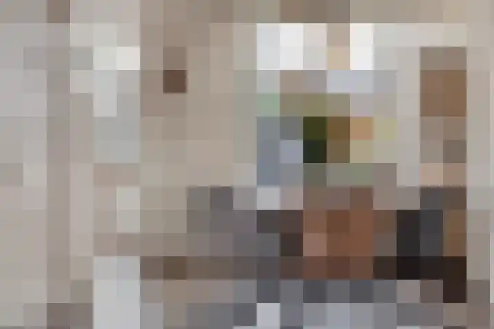Peellaan 10 Oss thumbnail 11