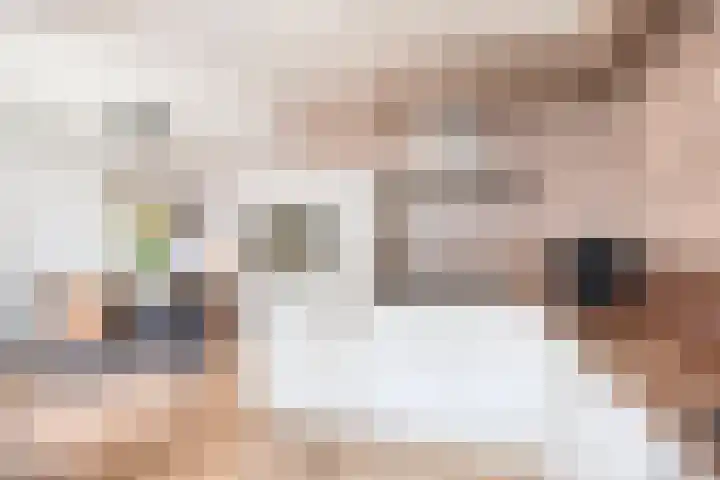 Peellaan 10 Oss thumbnail 12