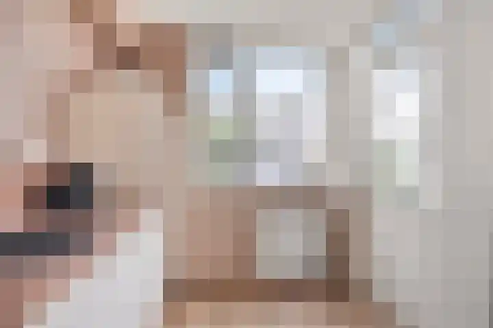 Peellaan 10 Oss thumbnail 13