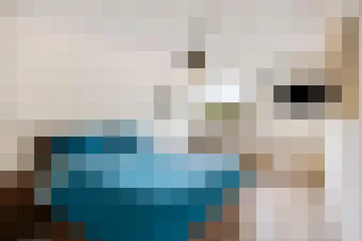 Peellaan 10 Oss thumbnail 17