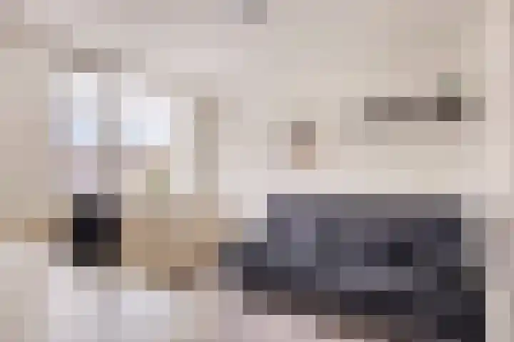 Peellaan 10 Oss thumbnail 19