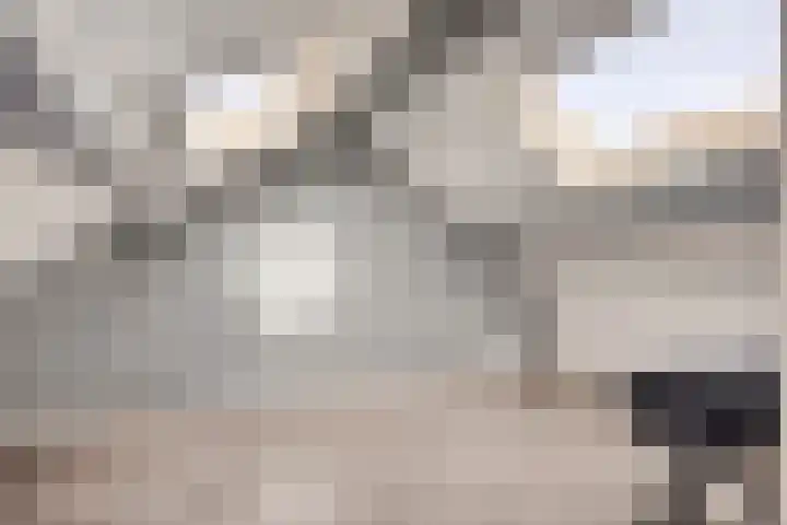 Peellaan 10 Oss thumbnail 23