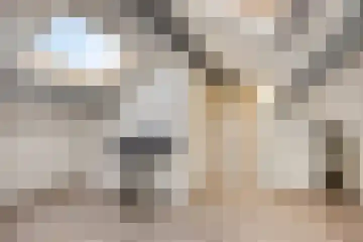 Peellaan 10 Oss thumbnail 24