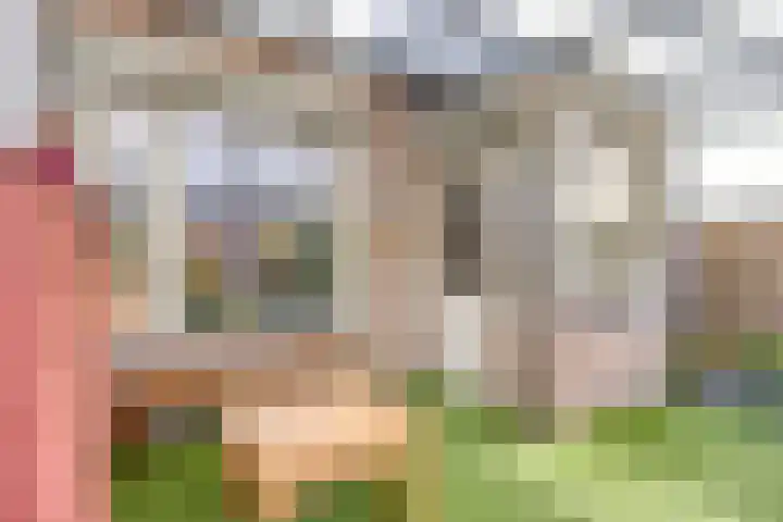 Peellaan 10 Oss thumbnail 26