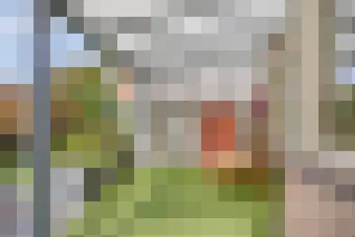 Peellaan 10 Oss thumbnail 27